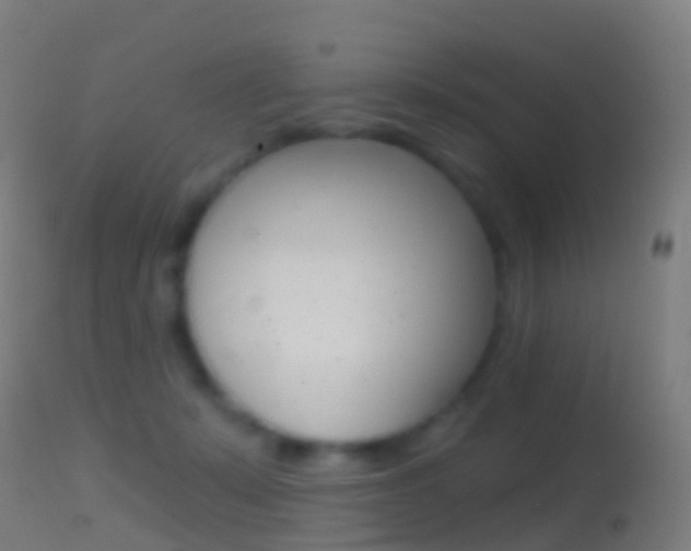 X0000114670319200910211015