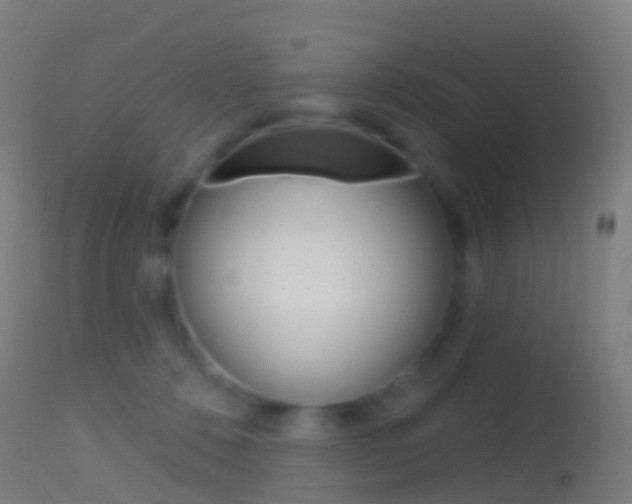X0000114670320200910211015