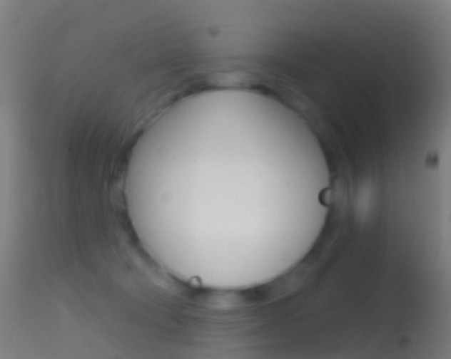X0000114670322200910211015