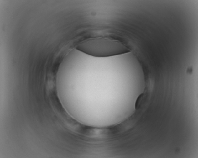 X0000114670323200910211015