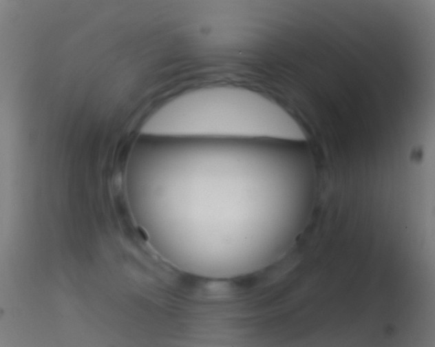 X0000114670324200910211015