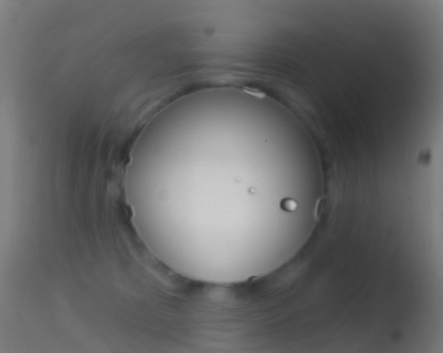 X0000114670325200910211015