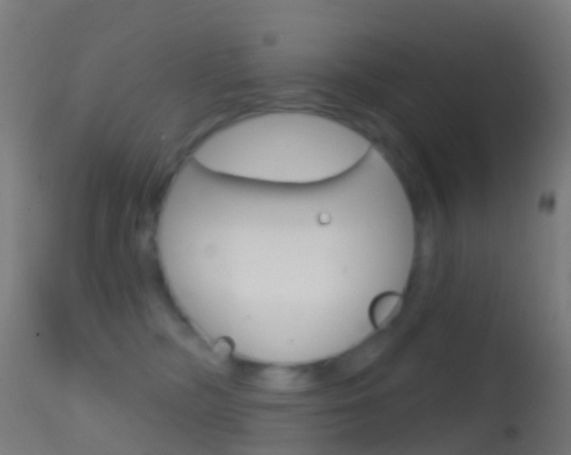 X0000114670326200910211015