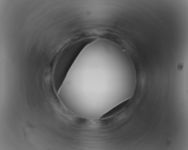 X0000114670328200910211015