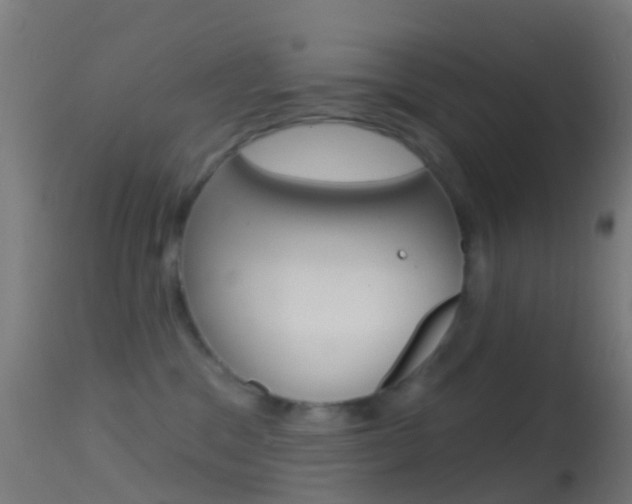 X0000114670329200910211015