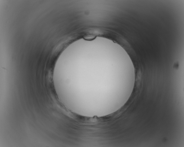 X0000114670330200910211015