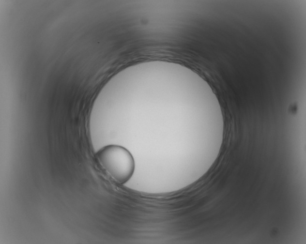 X0000114670332200910211014