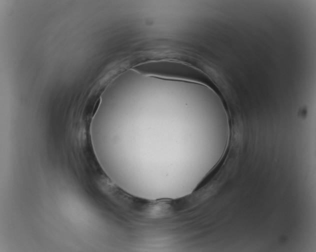 X0000114670333200910211014
