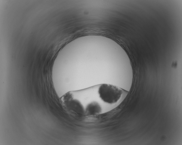 X0000114670335200910211014