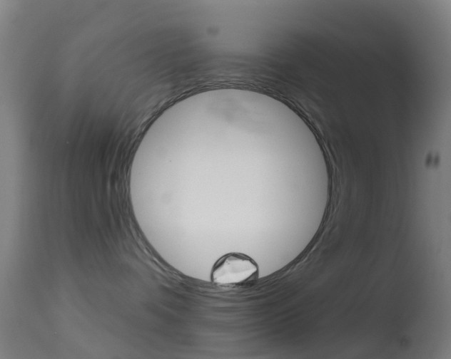 X0000114670336200910211014