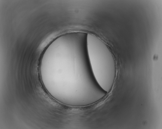 X0000114670341200910211014