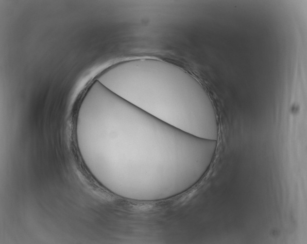 X0000114670342200910211014