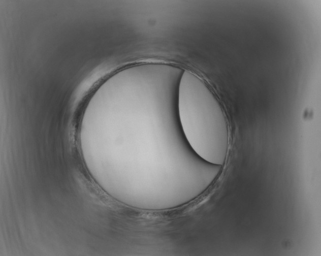 X0000114670343200910211014