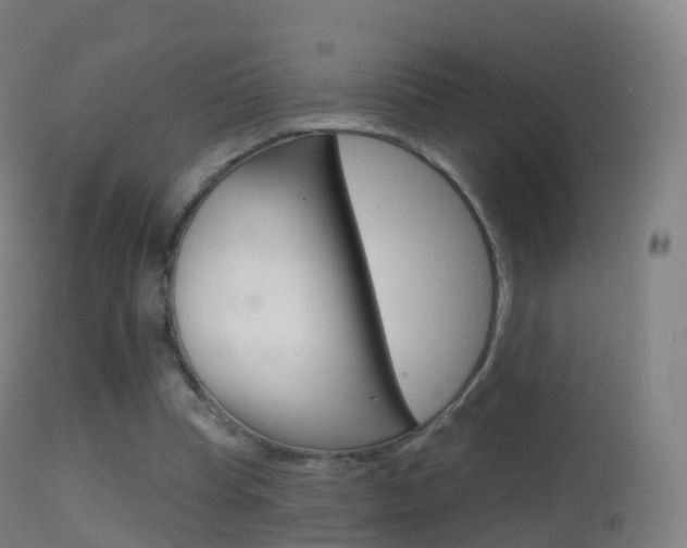 X0000114670345200910211014