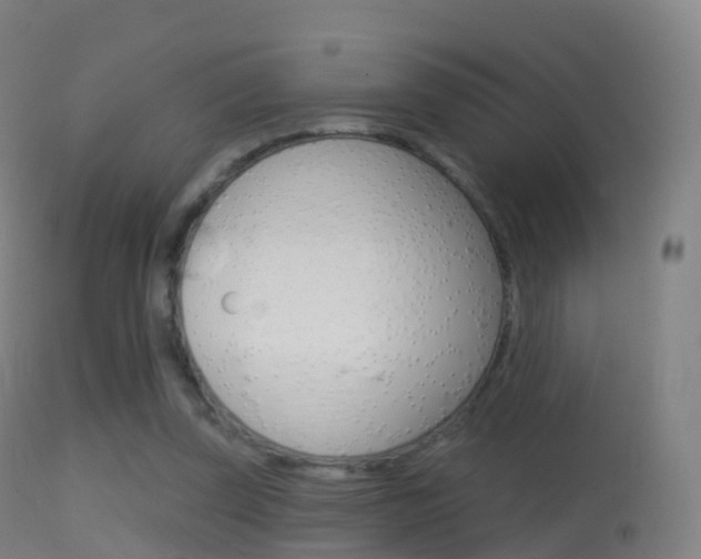 X0000114670347200910211014