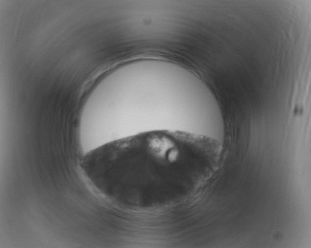 X0000114670349200910211014