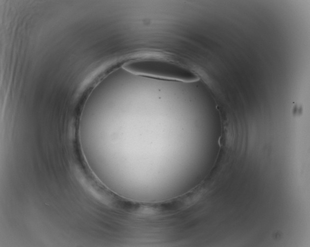 X0000114670350200910211014