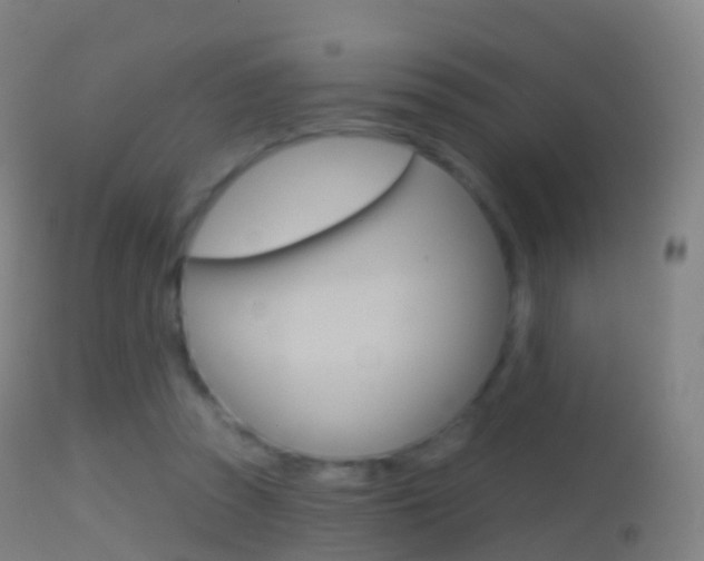 X0000114670353200910211014