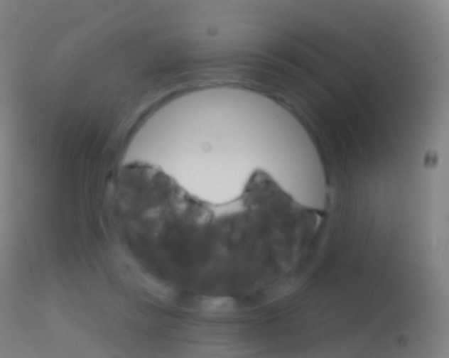 X0000114670355200910211014