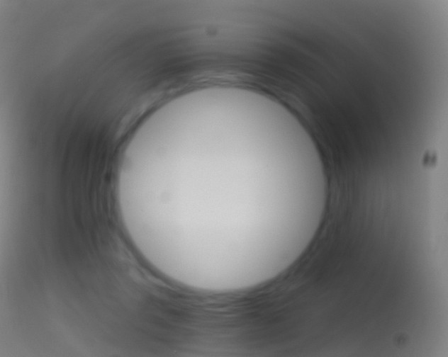 X0000114670357200910211014