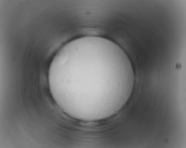 X0000114670359200910211014