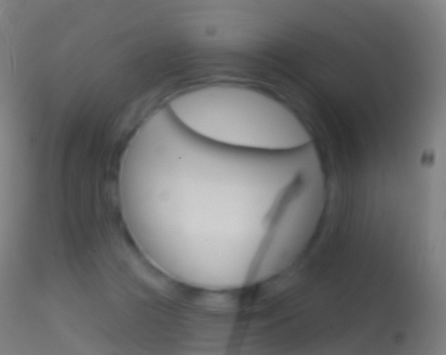 X0000114670361200910211014