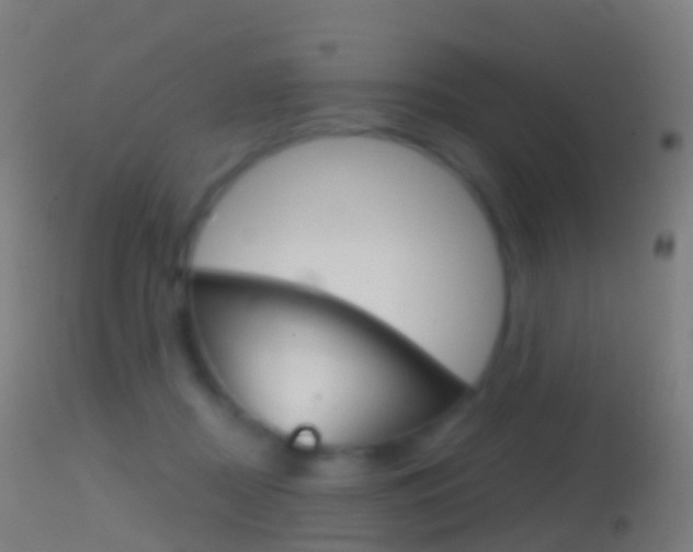 X0000114670362200910211014
