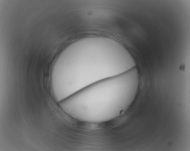 X0000114670365200910211014