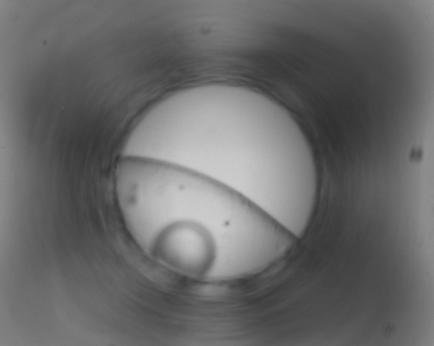 X0000114670366200910211014