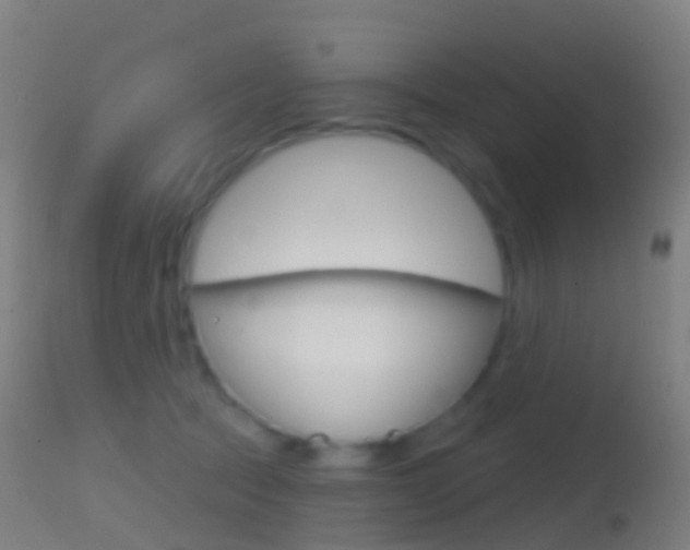 X0000114670369200910211014