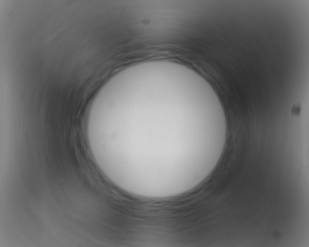 X0000114670373200910211014