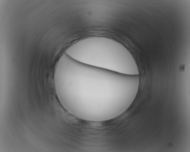 X0000114670377200910211014