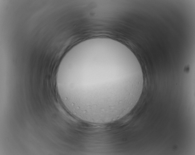 X0000114670379200910211014