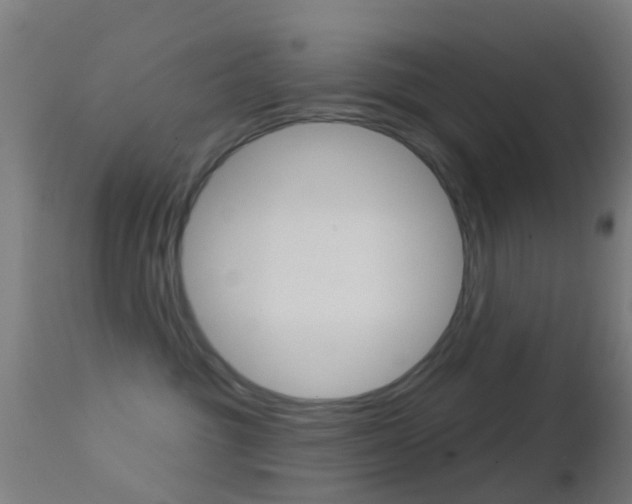 X0000114670381200910211014
