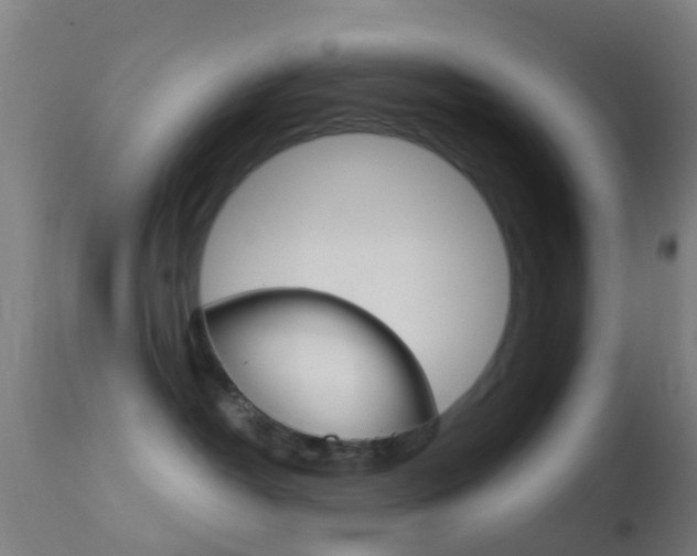 X0000114670382200910211014