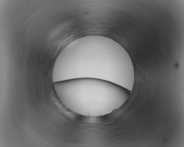 X0000114670383200910211014