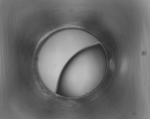 X0000114670388200910211014