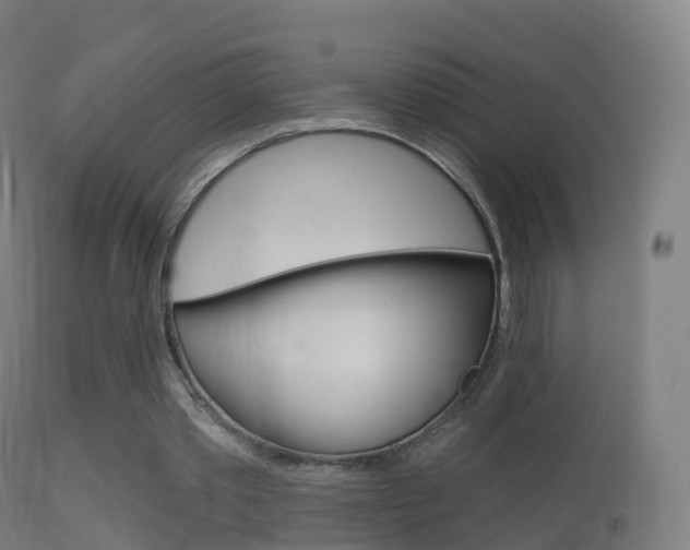 X0000114670389200910211014