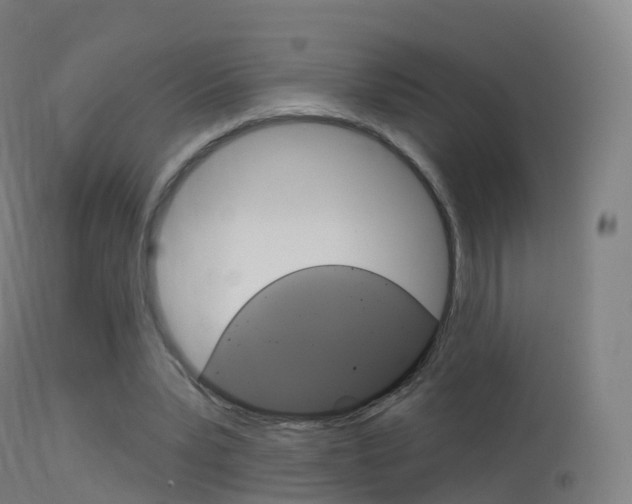 X0000114670391200910211013