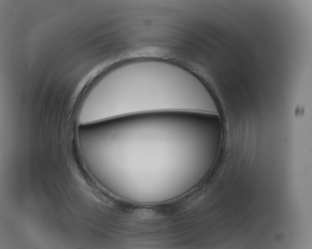 X0000114670392200910211013