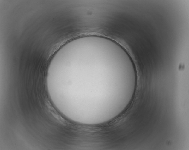X0000114670393200910211013