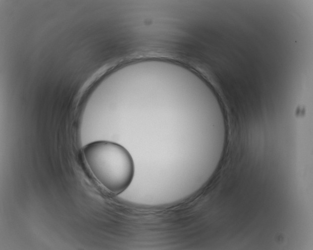X0000114670395200910211013