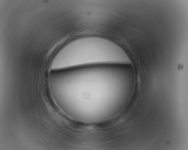 X0000114670396200910211013