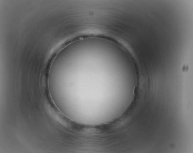 X0000114670399200910211013