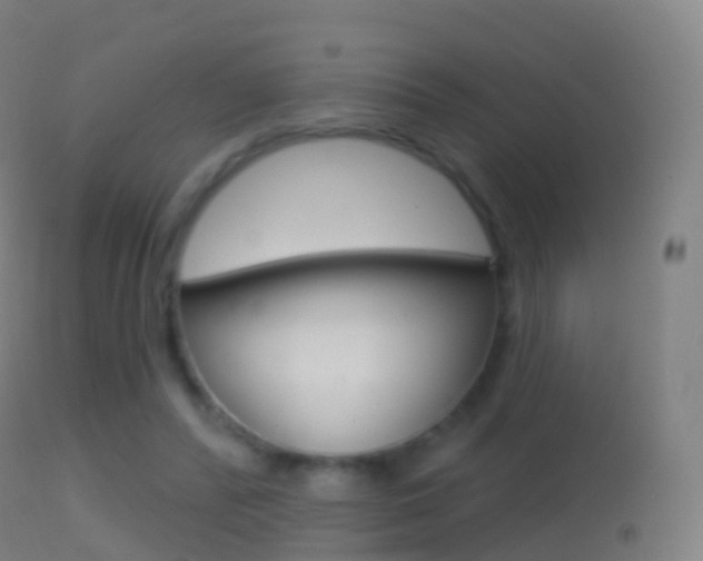 X0000114670400200910211013