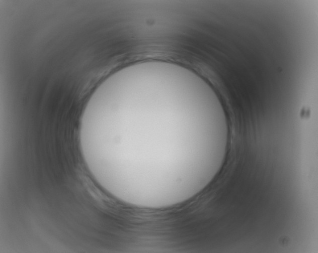 X0000114670401200910211013