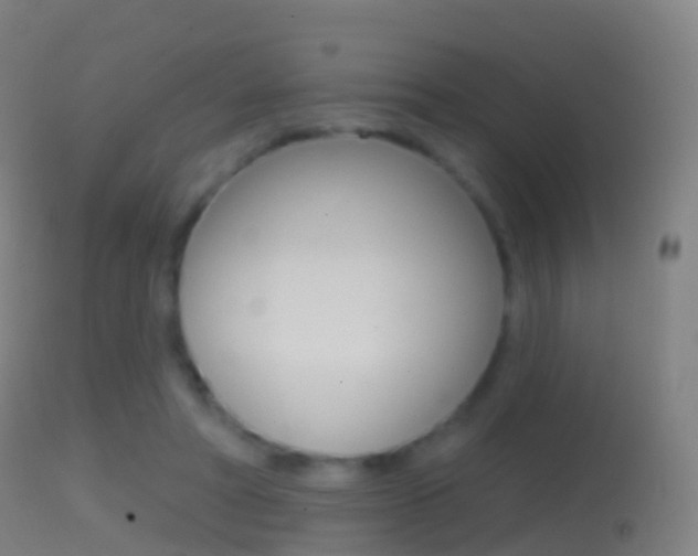 X0000114670402200910211013