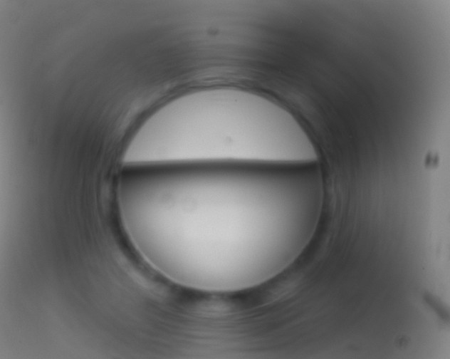 X0000114670404200910211013
