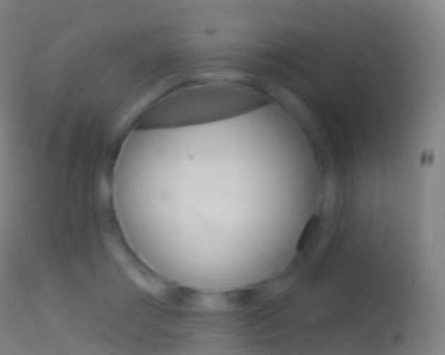 X0000114670405200910211013