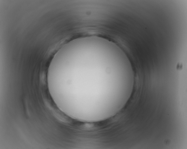 X0000114670406200910211013
